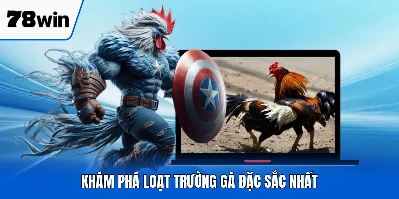 Khám phá loạt trường gà đặc sắc nhất